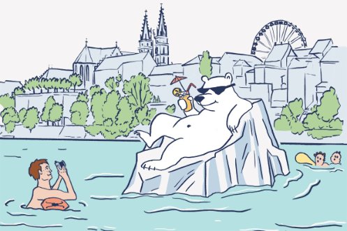 Eisbär im Rhein und Schwimmer mit Kamera