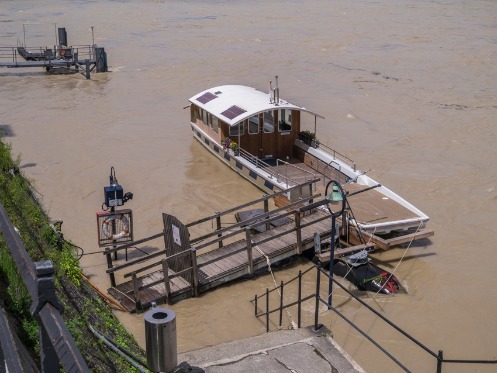 Rhein mit Hochwasser