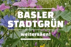 Schriftzug von Basler Stadtgrün vor Blumenhintergrund