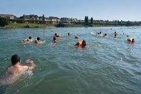 Schwimmerinnen und Schwimmer im Rhein